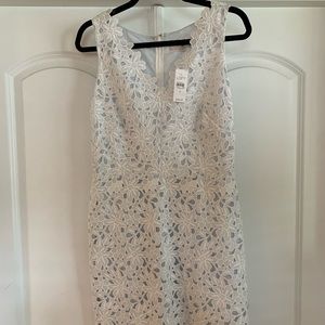 LOFT Lace Shift Dress NWT